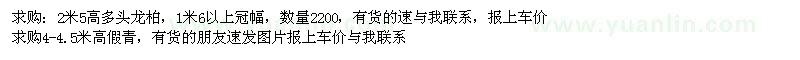 求购多头龙柏、假青 