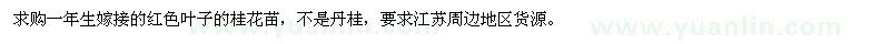 求购1年生嫁接红叶桂花