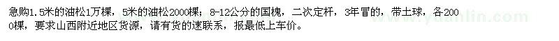 求购高1.5、5米油松、8-12公分国槐