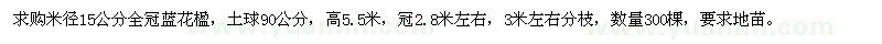 求购米径15公分蓝花楹