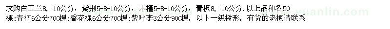 求购白玉兰、紫荆、木槿、青枫等苗木