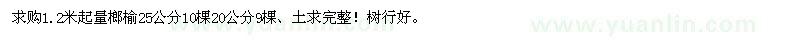 求购20、25公分榔榆