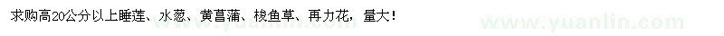 求购睡莲、水葱、黄菖蒲、梭鱼草、再力花