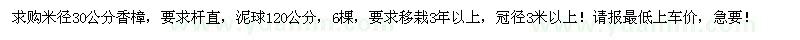 求购米径30公分香樟