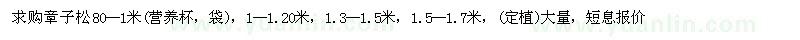 求购章子松80--1米(营养杯，袋)， 1--1.20米，1.3--1.5米，1.5--1.7米