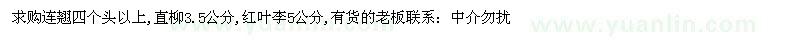 求购连翘四个头以上,直柳3.5公分,红叶李5公分