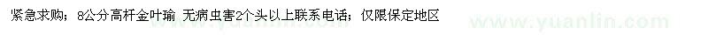 求购8公分金叶瑜高杆 无病虫害2个头以上