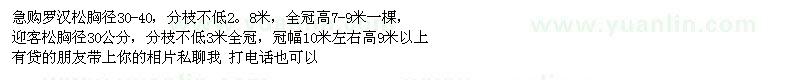 求购罗汉松胸径30-40，迎客松胸径30公分