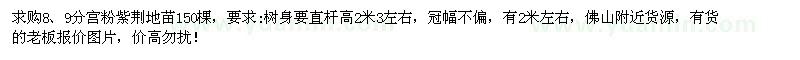 求购8、9分宫粉紫荆地苗150棵