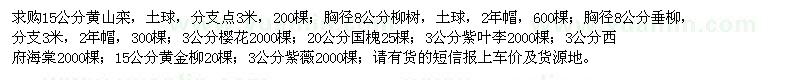 求购黄山栾树、柳树、垂柳、樱花等苗木