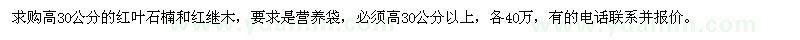 求购高30公分的红叶石楠和红继木