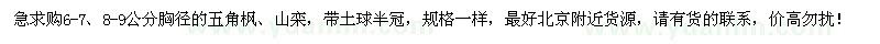 求购胸径6-7、8-9公分五角枫、山栾