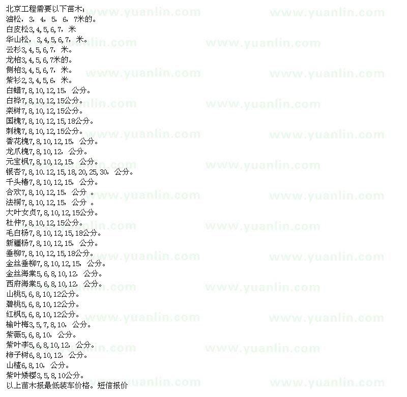 求购油松、白皮松、华山松、云杉、龙柏、侧柏、白蜡、白桦、栾树、国槐