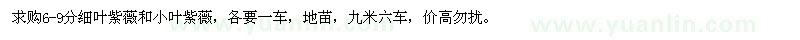 求购6-9分细叶紫薇、小叶紫薇