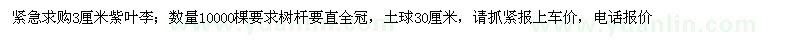 求购紧急3厘米紫叶李10000棵