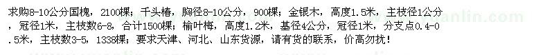 求购国槐、千头椿、金银木、榆叶梅