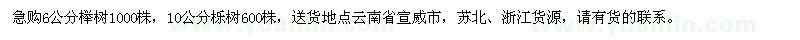 求购6公分榉树、10公分栎树