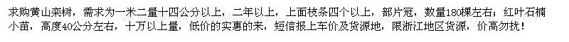 求购黄山栾树、红叶石楠小苗