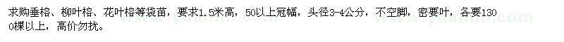 求购垂榕、柳叶榕、花叶榕