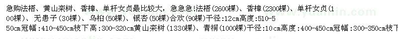 求购法梧、黄山栾树、香樟、单杆女贞