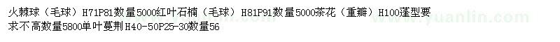 求购单叶蔓荆、火棘球、红叶石楠、茶花