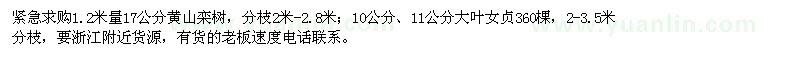 求购黄山栾树、大叶女贞