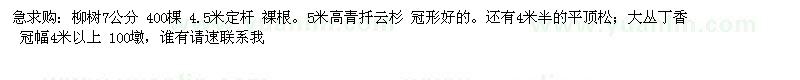 求购柳树、青扦云杉、平顶松、大丛丁香 