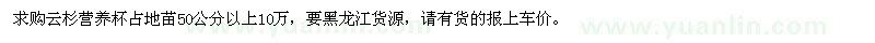 求购高50公分以上云杉营养杯占地苗 