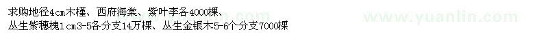 求购木槿、西府海棠、紫叶李、丛生紫穗槐 丛生金银木 