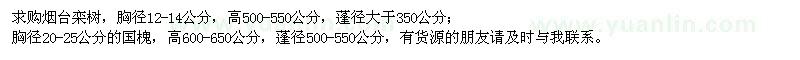 求购烟台栾树、国槐