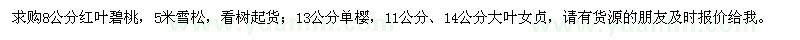 求购红叶碧桃、雪松、单樱、大叶女贞