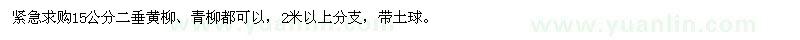 求购15公分二垂黄柳、青柳