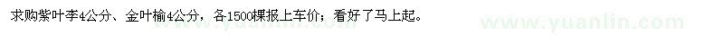 求购4公分紫叶李、金叶榆