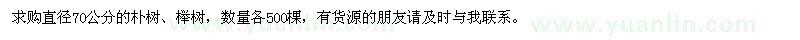 求购直径70公分朴树、榉树