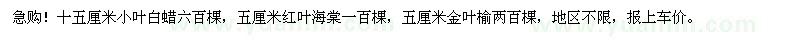 求购小叶白蜡、红叶海棠、金叶榆