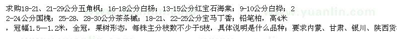 求购国槐、铅笔柏、五角枫、白杨等苗木