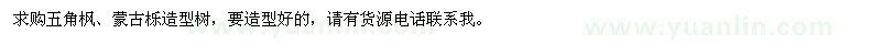 求购五角枫、蒙古栎造型树