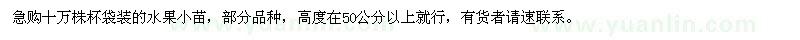 求购高50公分以上水果小苗