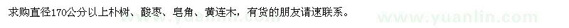 求购直径170公分以上朴树、酸枣、皂角