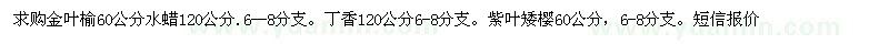 求购金叶榆60公分 水蜡120公分