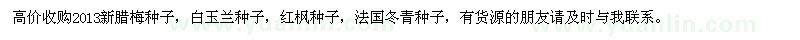 求购2013新腊梅种子，白玉兰种子、红枫种子、法国冬青种子