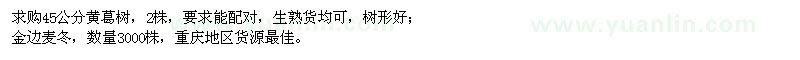 求购45公分黄葛树、金边麦冬
