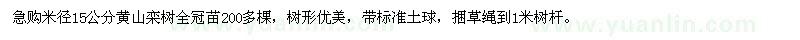 求购米径15公分黄山栾树