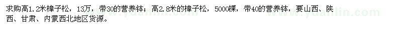 求购高1.2米、2.8米樟子松