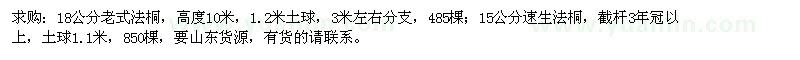 求购18公分老式法桐、15公分速生法桐