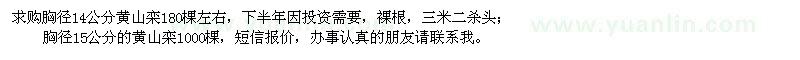 求购胸径14公分、15公分黄山栾树