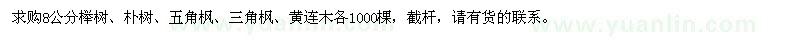 求购榉树、朴树、五角枫、三角枫、黄连木