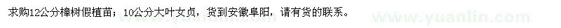 求购12公分樟树、10公分大叶女贞