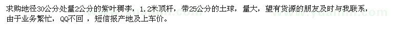 求购地径30公分处量2公分紫叶稠李