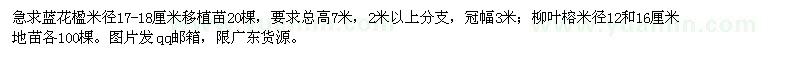 求购蓝花楹、柳叶榕